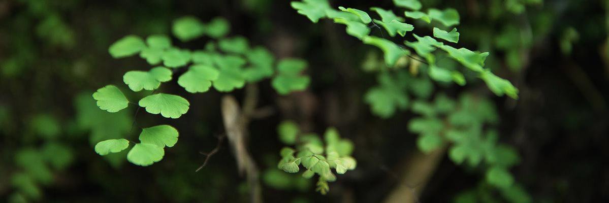 malinkadolores's profile banner image