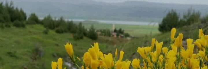emincannn's profile banner image