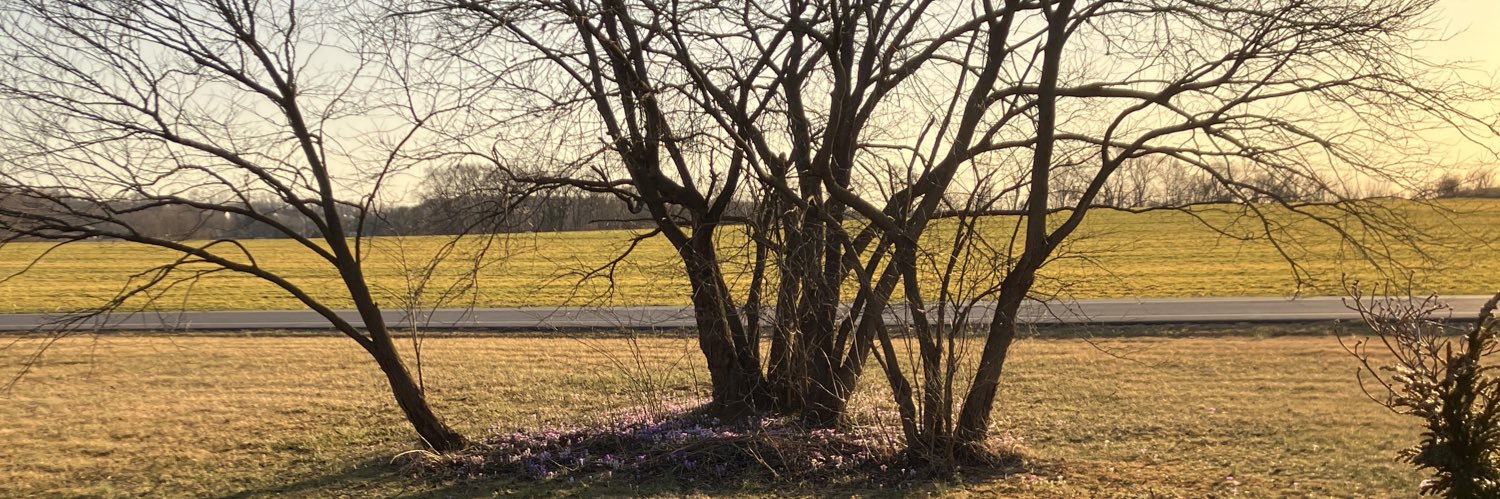 ChrisWalshActor's profile banner image