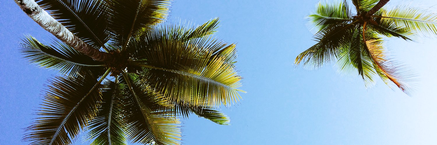 licdietas's profile banner image