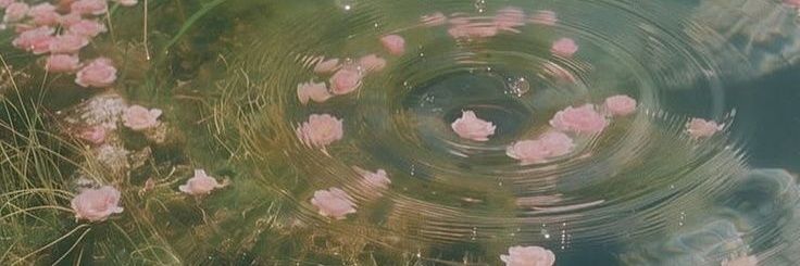 bubblebloooo's profile banner image