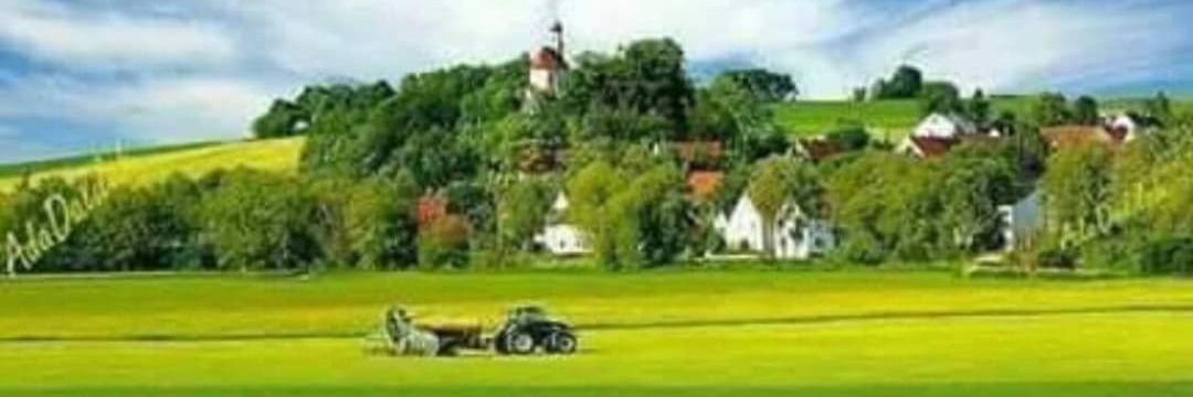 Traci Franklin Ball banner