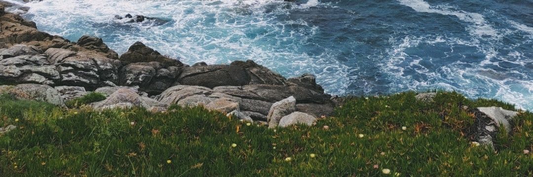 xeoax's profile banner image