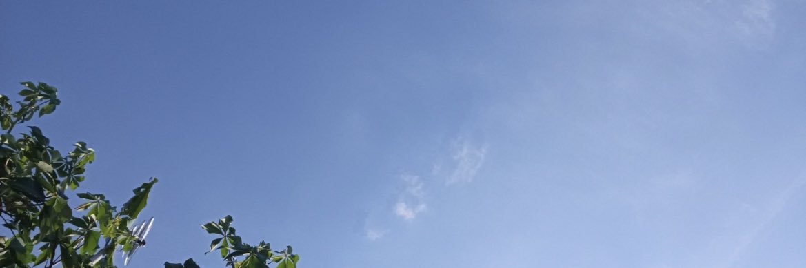 gambim banner