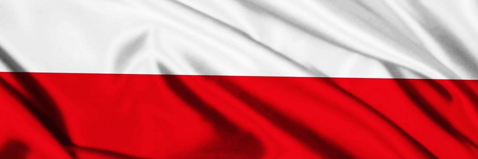 koloteem's profile banner image