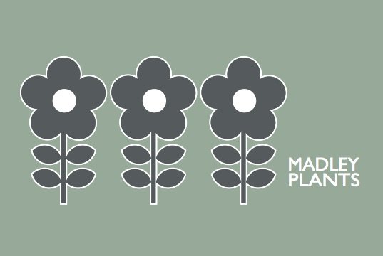 madleyplants's profile banner image