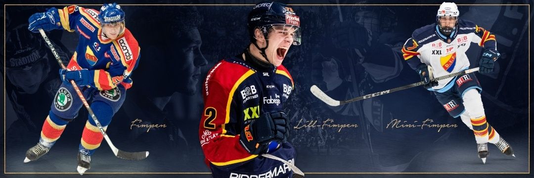 Tina Lundqvist banner