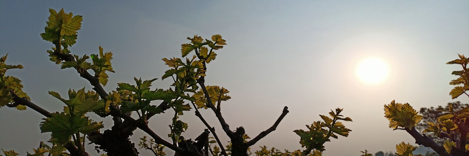dhanraj33's profile banner image