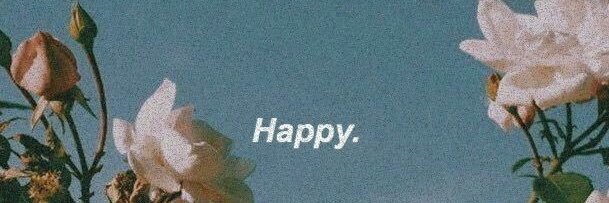 NPinkStarzzz's profile banner image