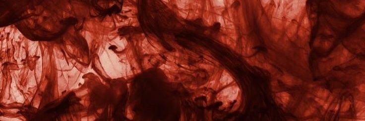 peachmothman's profile banner image