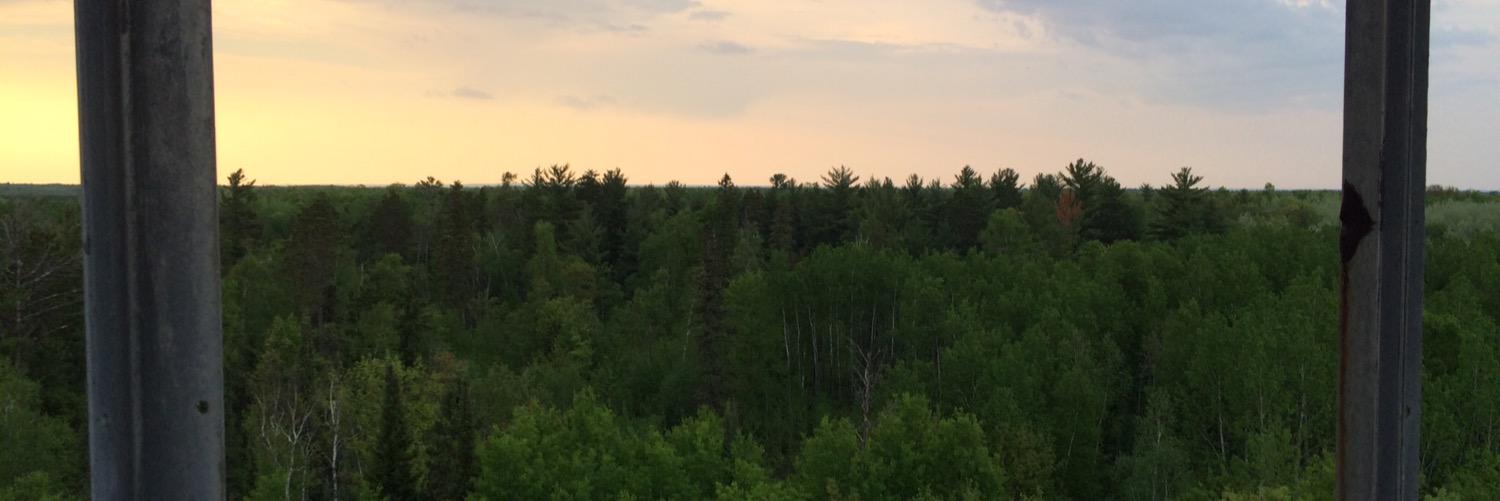 berg_naberg's profile banner image