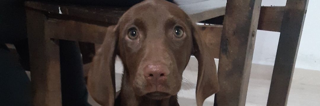 FranqqoV's profile banner image