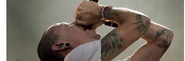 altusalveus's profile banner image