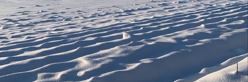 ellakistner's profile banner image