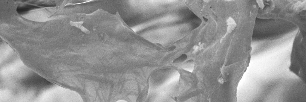 Tom371B's profile banner image