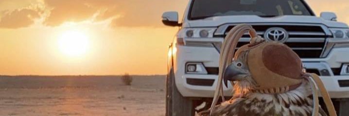 Q855_'s profile banner image