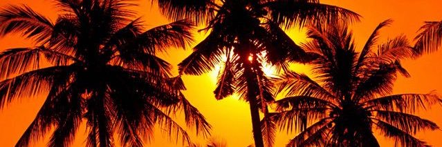 TQuag789's profile banner image