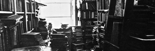 simone_backer's profile banner image