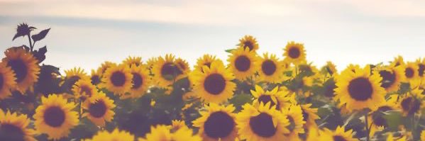 aleja cósmica 🌸 banner