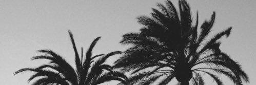 ArcalMonica's profile banner image