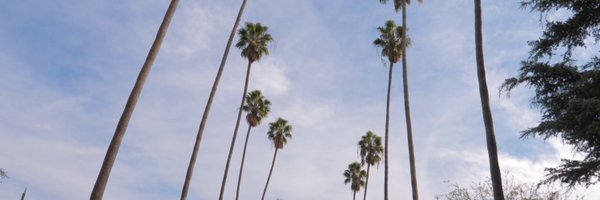 sammy_redmond Profile Banner