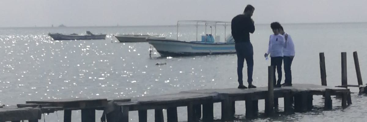 Bazzazee's profile banner image
