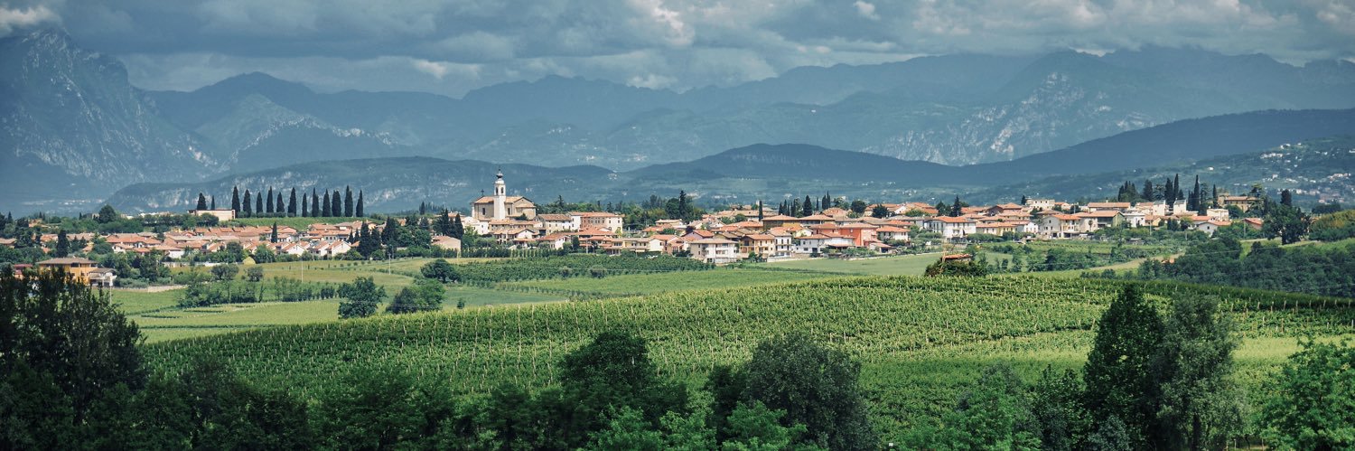 FranzFabris's profile banner image