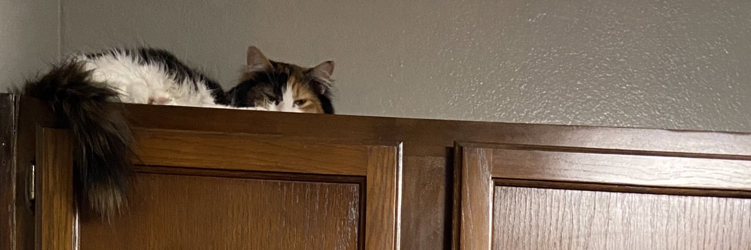 GrandmaAdri's profile banner image