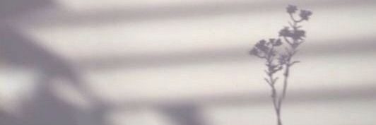 Vyeehh's profile banner image