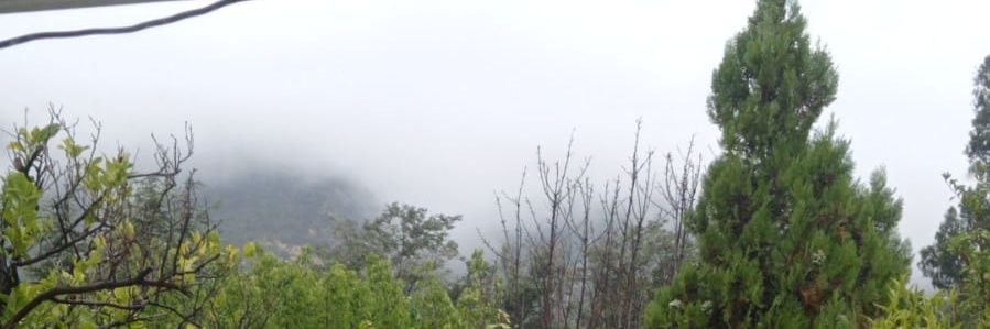 lovelisea's profile banner image