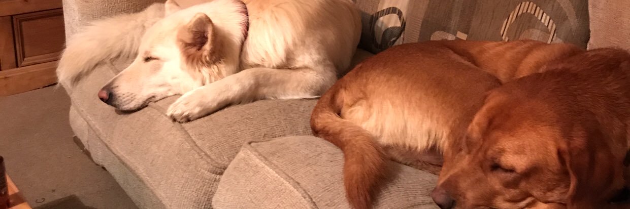 Stephen Cockburn banner