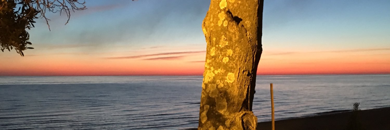 FedCaceres96's profile banner image
