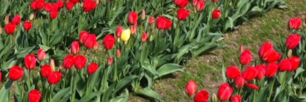 DocBrown_TV Profile Banner