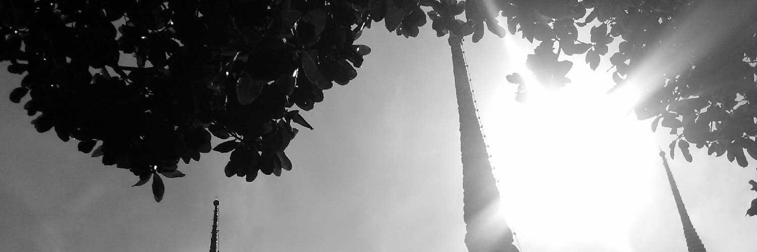 serresque's profile banner image