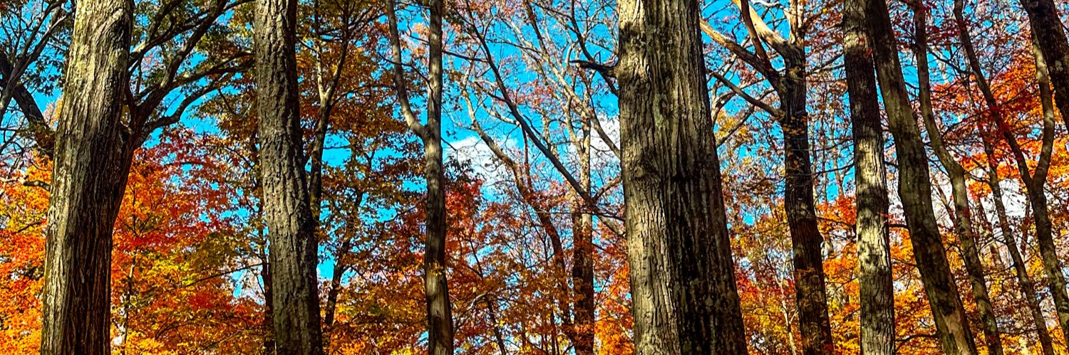 gfoltz12's profile banner image