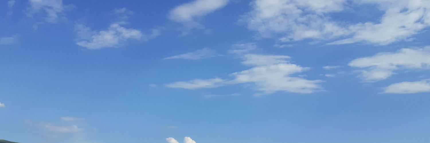 Vevevesna's profile banner image