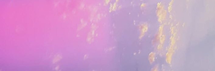eliifguleer's profile banner image