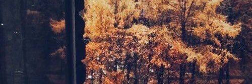 zachrcy's profile banner image