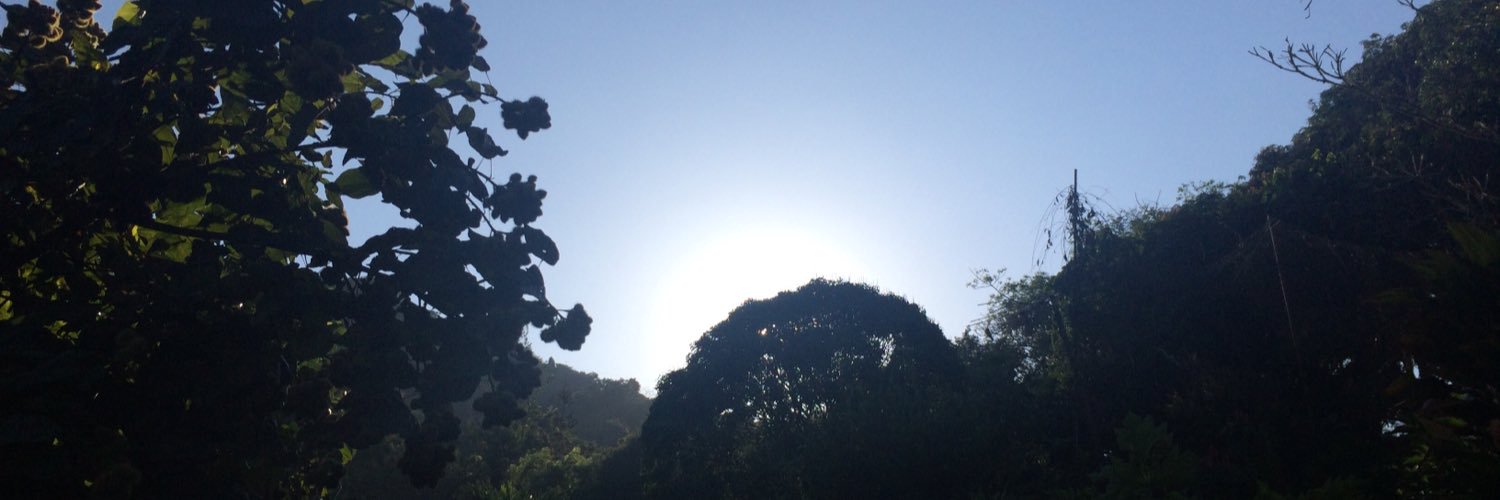 elineptopetro's profile banner image