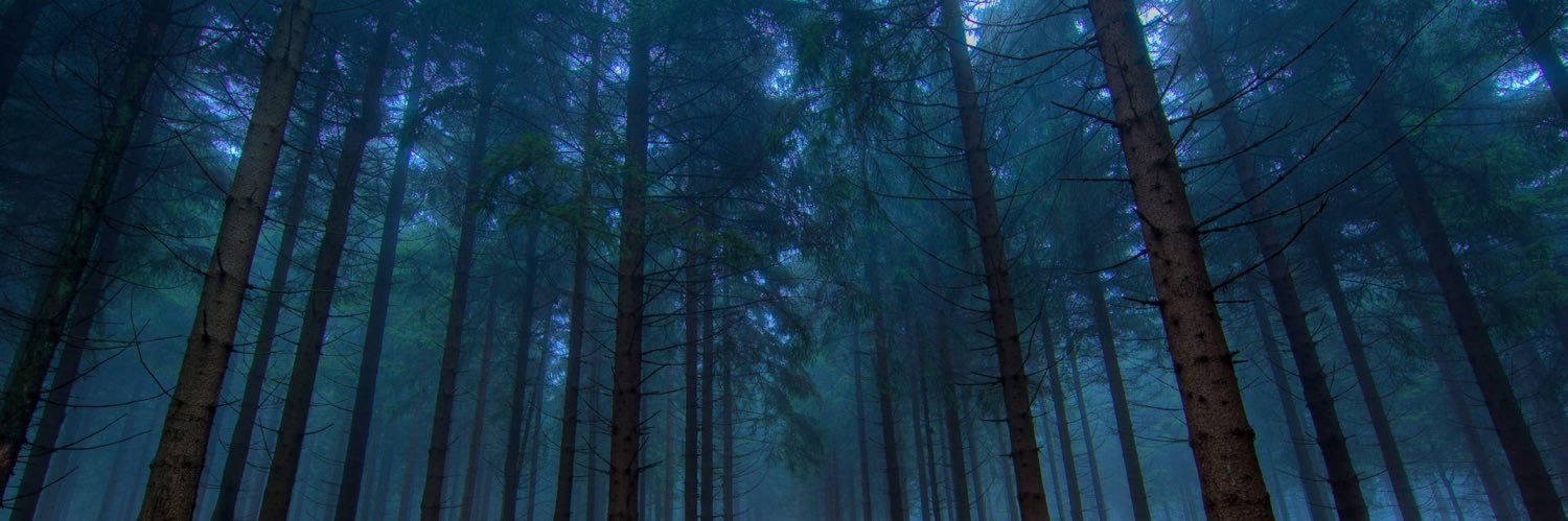 gaelshowers's profile banner image
