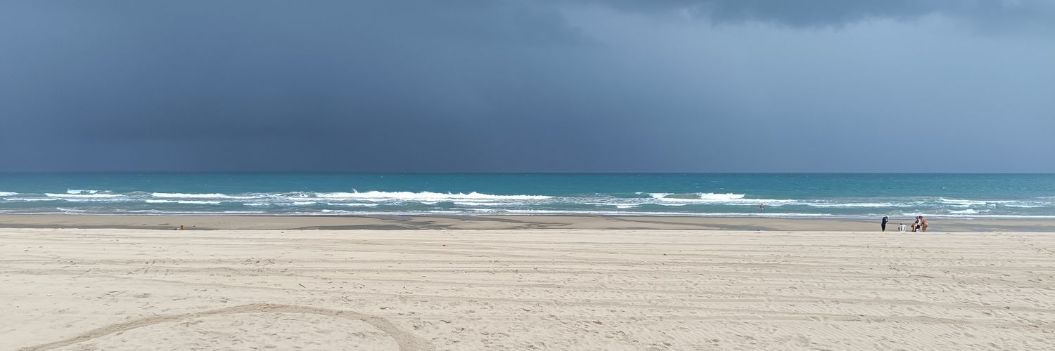evertonlobos's profile banner image