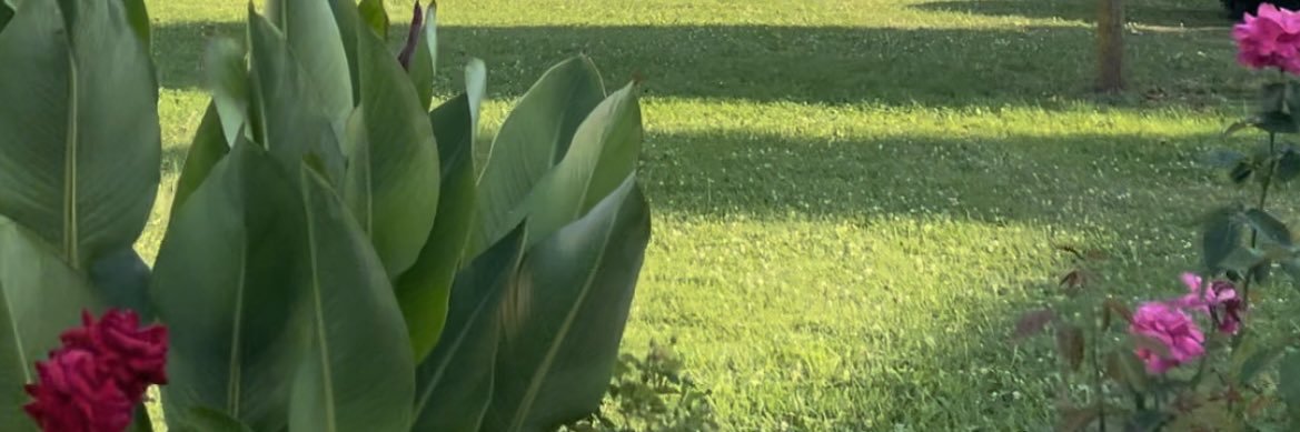 verainbcn's profile banner image