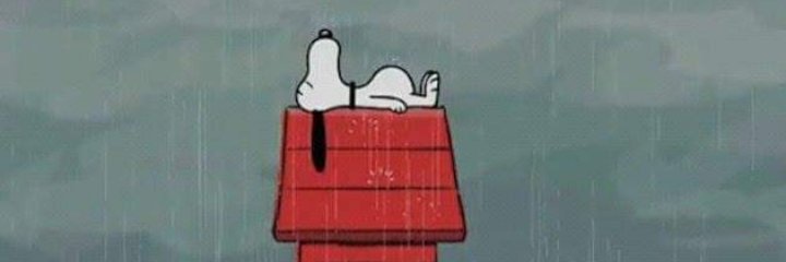 Auro banner