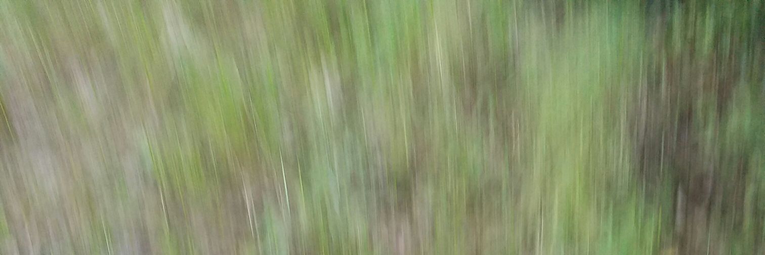 cousinstrash's profile banner image