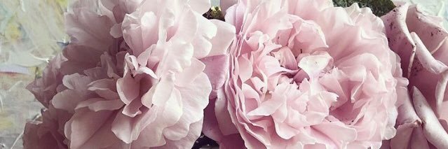 Liliesinbloom's profile banner image