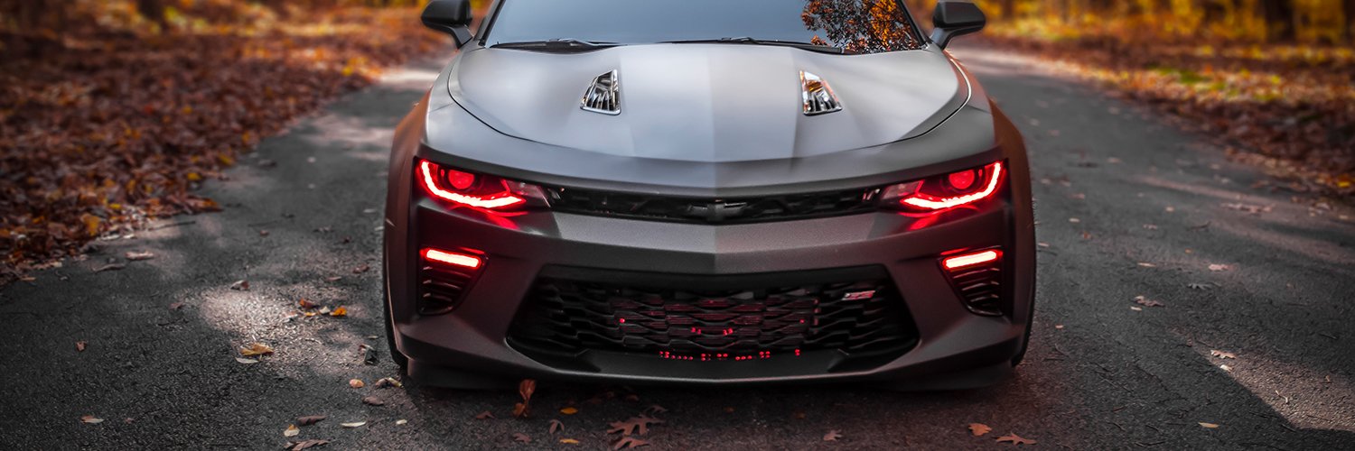 Diode Dynamics banner