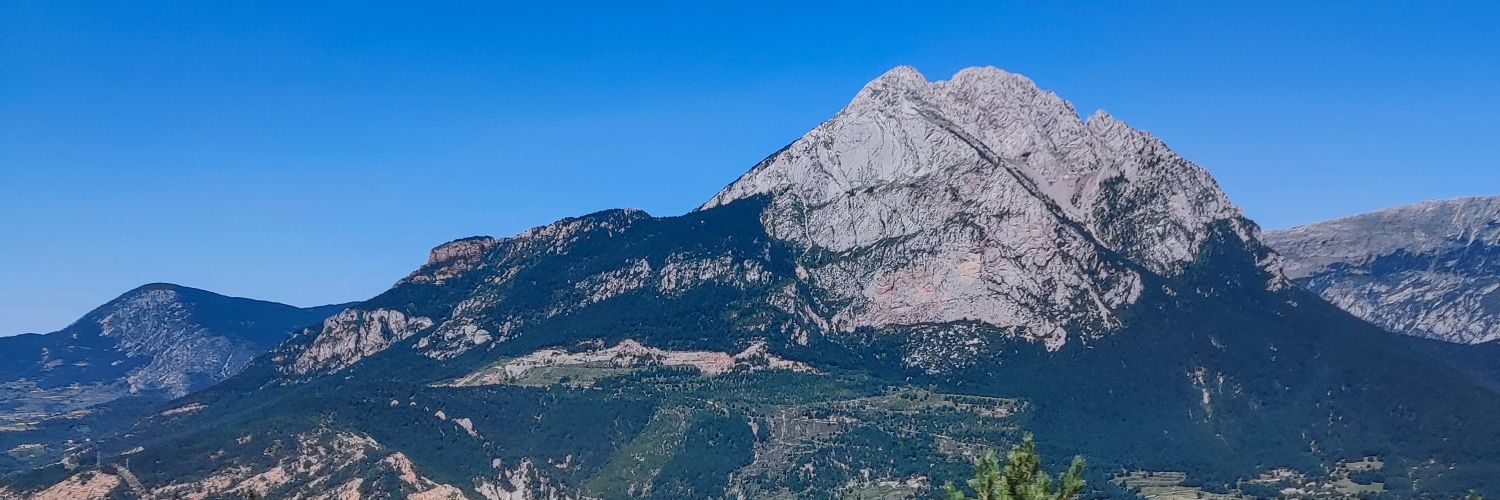 marta_pz_'s profile banner image