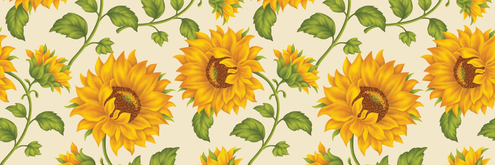 Barbara. banner