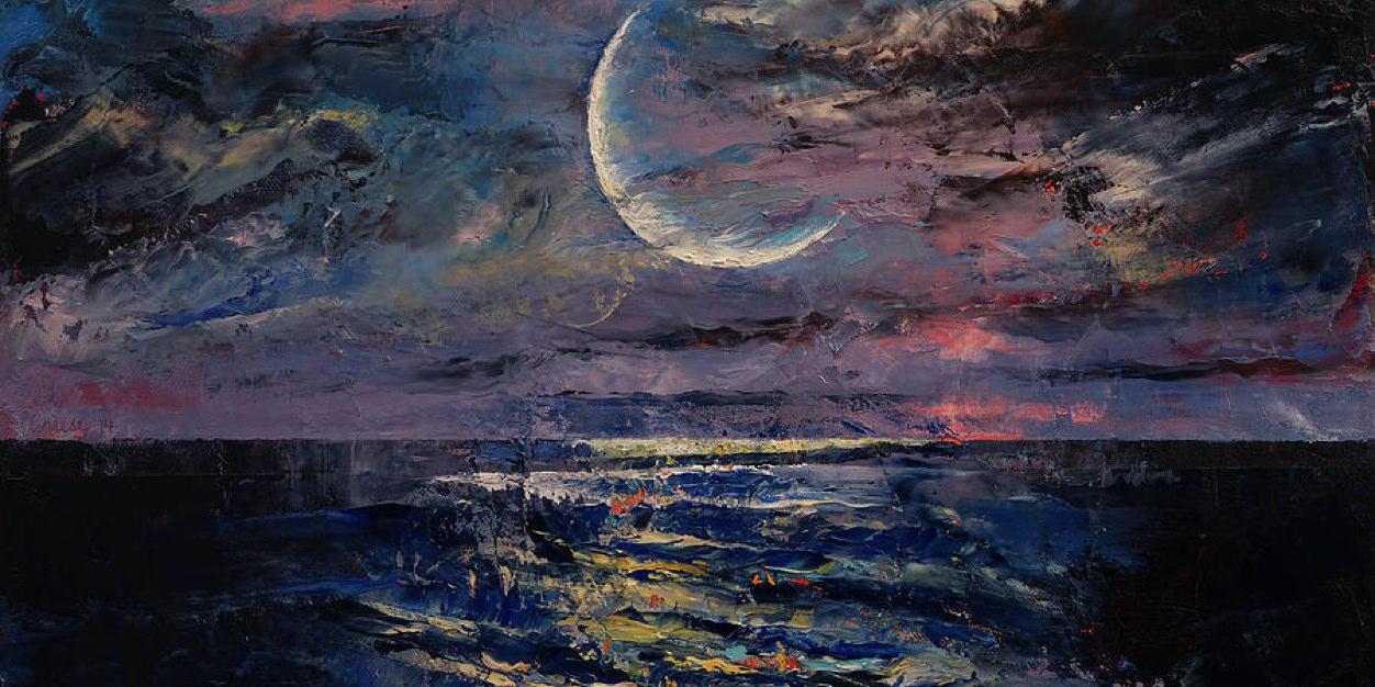 BeatrixSharp's profile banner image
