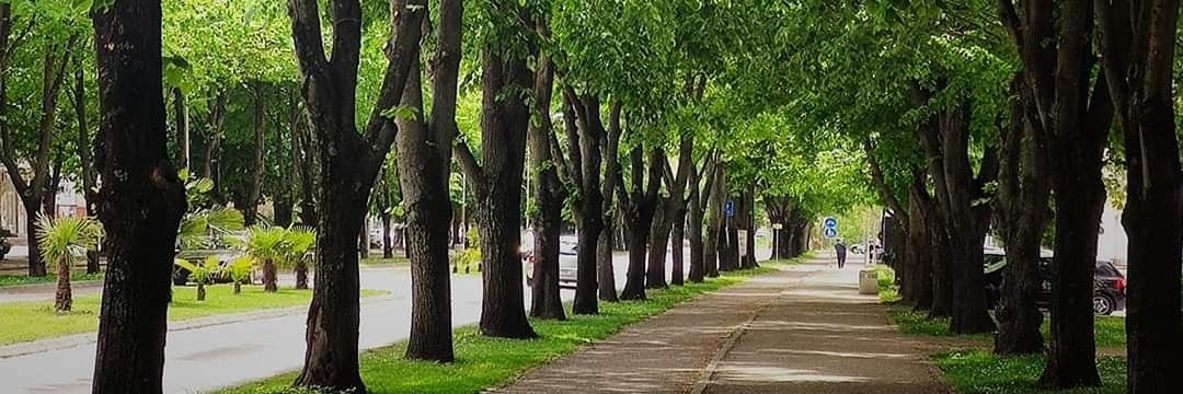 Огњен Л. banner